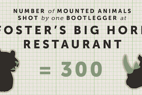 Curious Fact of the Week: The Restaurant Where 300 Animal Heads Watch You Eat