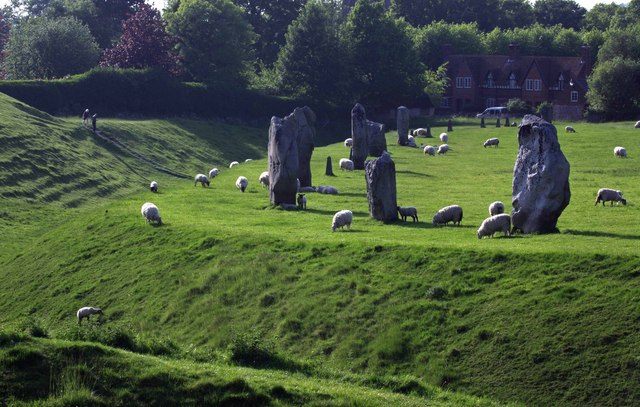 The stones at Avebury, hanging with some sheep.
