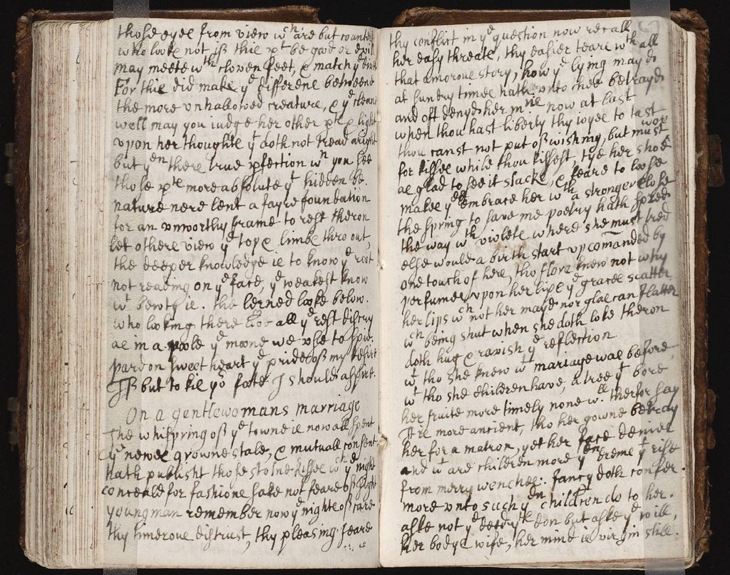 Antique Diaries and Handwritten Journals Online