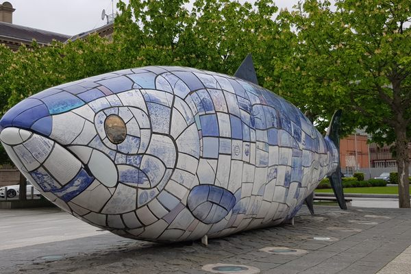 The Salmon of Knowledge.