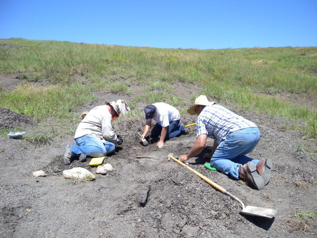 Many ancient sea creatures ended up buried just below Kansas's farms and ranches.