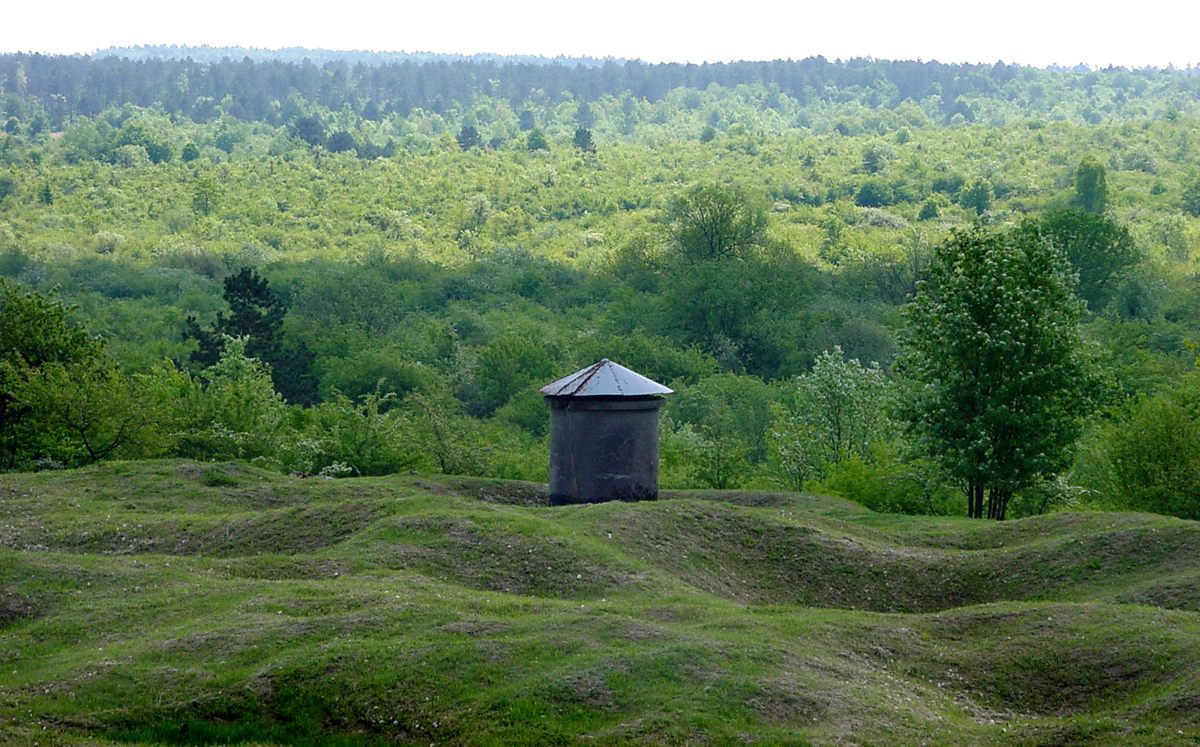 Verdun Forest is an area that had restoration after World War I.