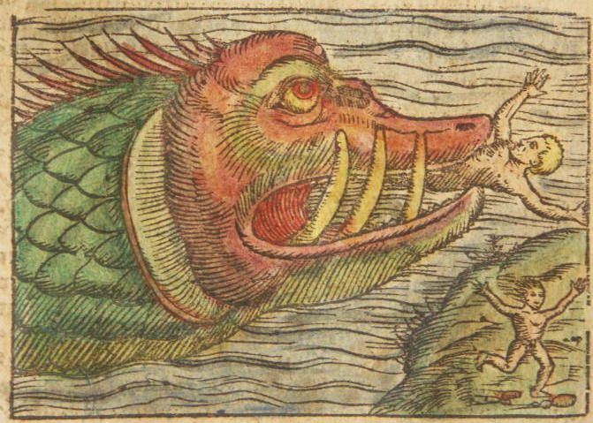 Storms have taken the place of sea monsters as a proxy for ecological anxiety.