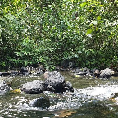 Depending on the level of rain, the hot springs can be a tranquil watering hole for a relaxing vibe in the forest.