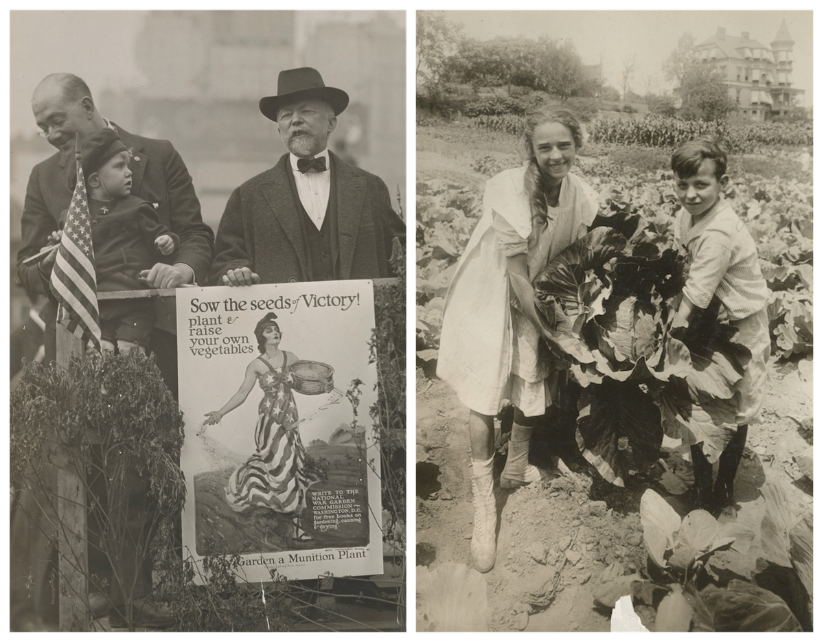 Victory Gardens