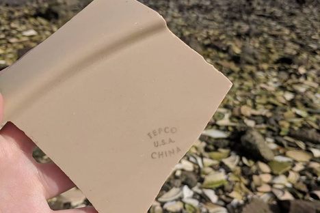 TEPCO Beach