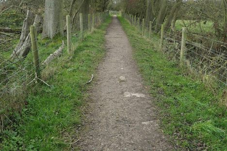 Traces of the old stone sleeper setts on the tramway route