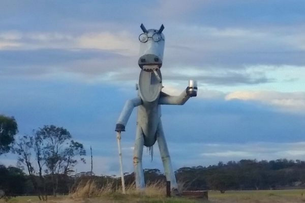 Tin Horse Highway.