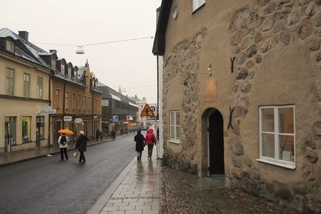 The Swedish town of Linköping, where a Neolithic family grave is adding to the understanding of human migration.