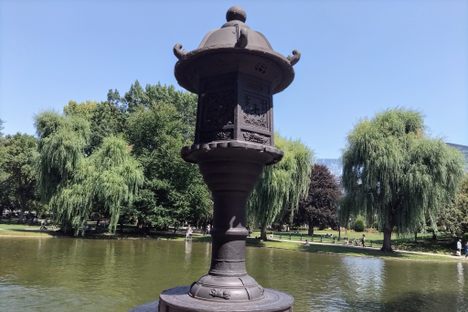 ‘Japanese Lantern’