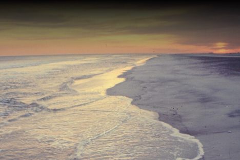 Irv Teibel's 'Environments' Is Now an App