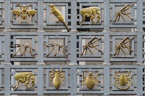 The Gilded vectors of disease facade.