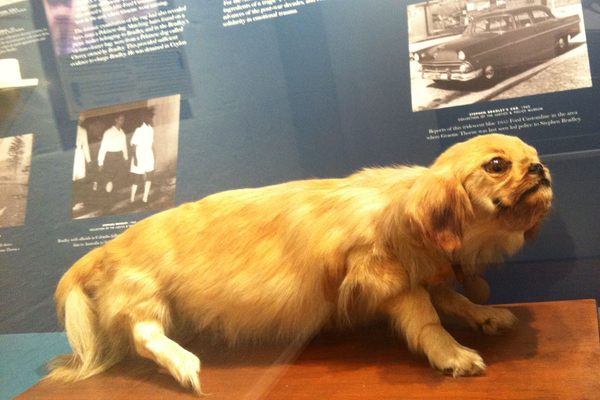 What a Blanket Made With Dog Hair Can Tell Us About Indigenous