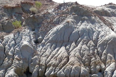 elephant skin clay formations 