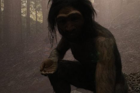 Ancient Humans Turned Monogamous Because They Were Getting So Many STIs