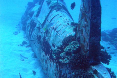 The tail section.