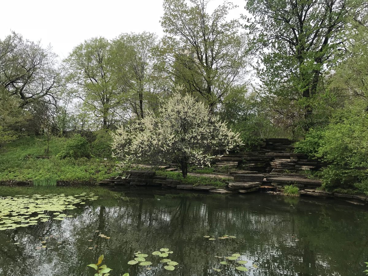 Alfred Caldwell Lily Pool – Chicago, Illinois - Atlas Obscura
