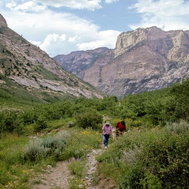 Hiking up Thomas Creek.  Looking back into Lamoille Canyon.