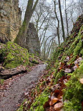 Wollefsschlucht (Wolf Gorge) – Echternach, Luxembourg - Atlas Obscura
