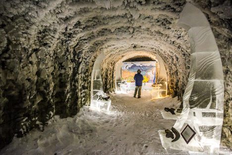Siberian Permafrost Caves to Preserve a "Noah's Ark" of Rare Seeds