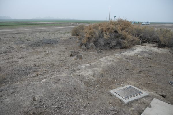 The marker in context–though the brush is often much higher.
