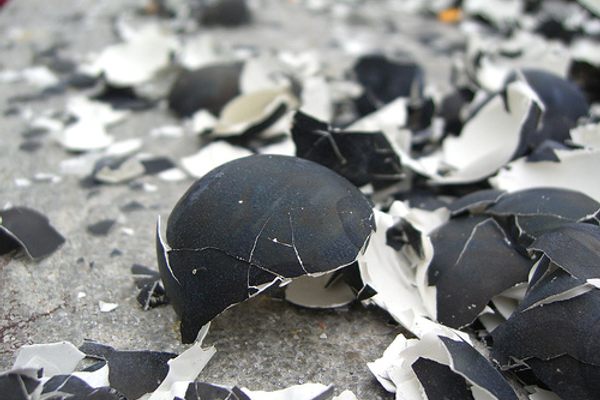 Broken eggshells litter the pavement.