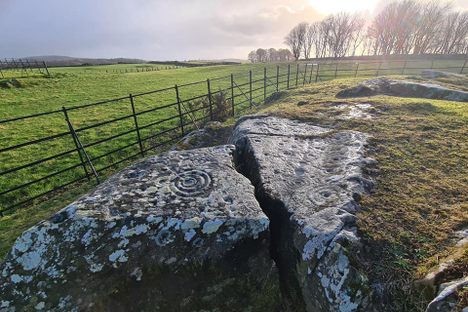 One of the clusters of cup and ring marks at Drumtroddan