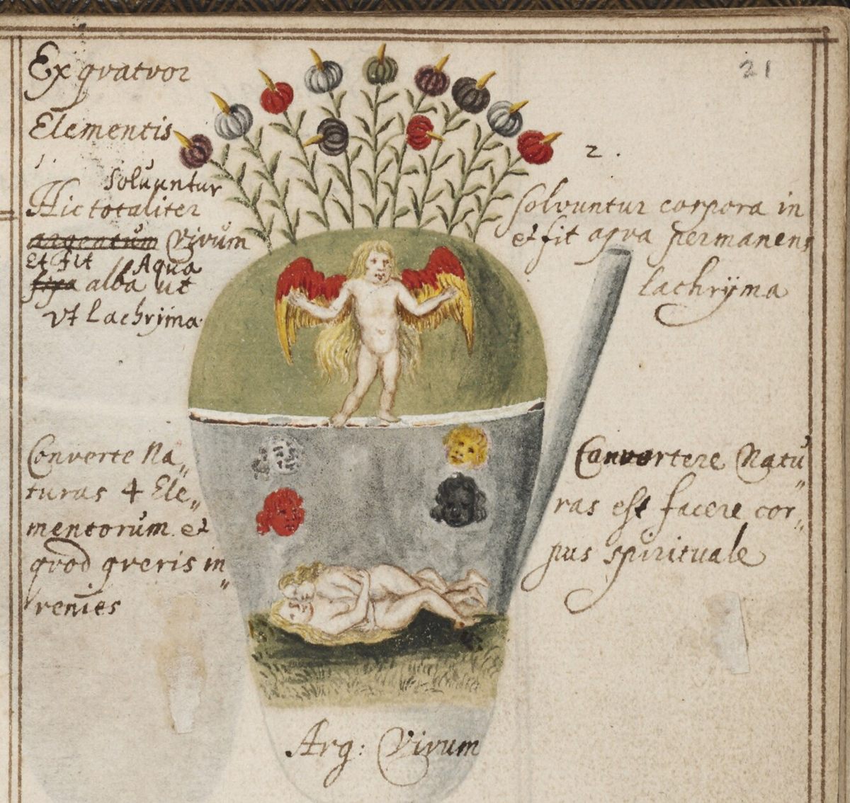 A page from Johann Grasshoff’s 1620 notebook depicts one of the most important stages in making the Philosopher’s Stone, what alchemists called making the “Child of the Conjunction."