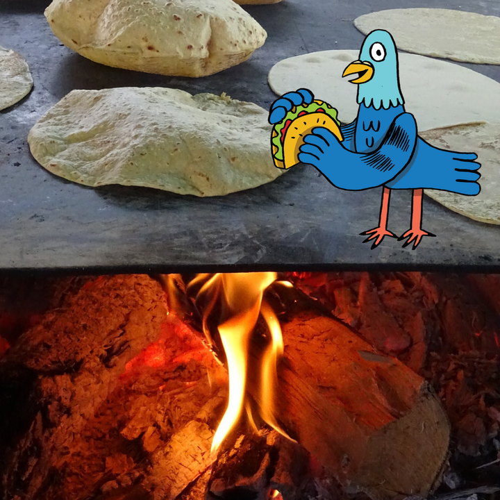 Learn how to make traditional tortillas.