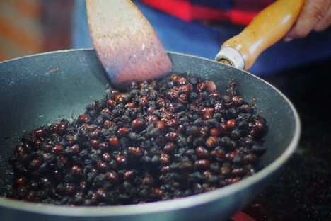Cooking with big-bottomed ants.