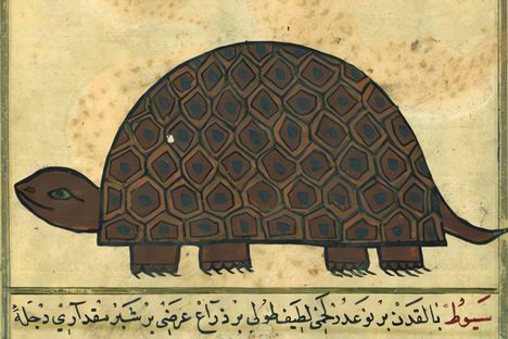 For the Banū Sāsān, a famed group of 12th-century thieves, turtles were useful accomplices.