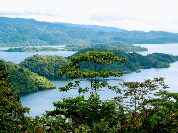 Kikori River Basin in Kikori, Papua New Guinea