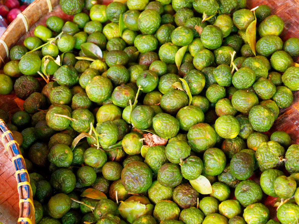 The leaves of the k-lime are one potential contributor to Blue Moon's flavor.