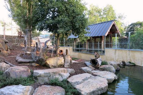 The monkey enclosure