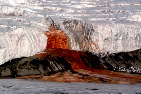 Blood Falls seeps from the end of the Taylor Glacier into Lake Bonney.