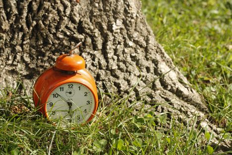 The Extreme Daylight Savings Time of World War II