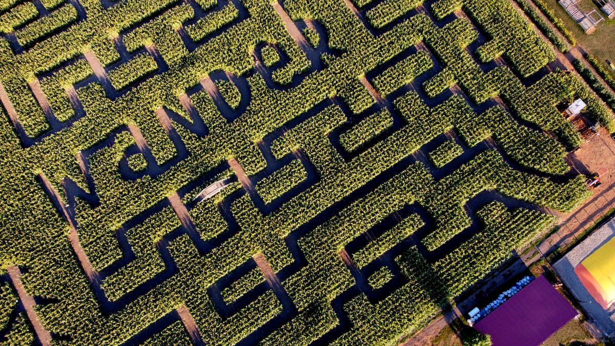 Exploring the Mysterious Allure of Mazes and Labyrinths