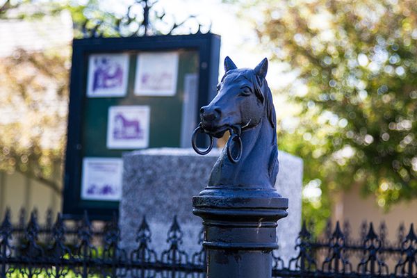 A horsehead gatepost