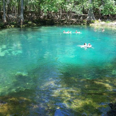 Clear waters in Manatee Springs State Park.