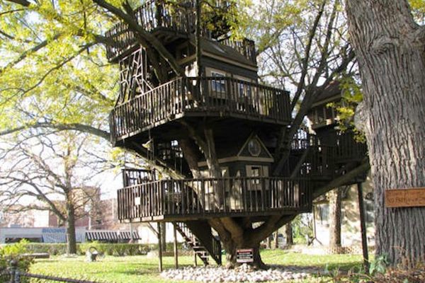 Tucker's Treehouse