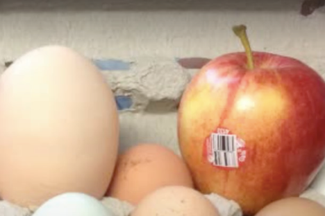Just an Unsettlingly Large Chicken Egg