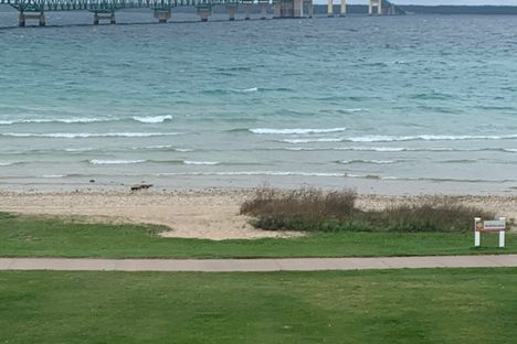The Mackinac Bridge