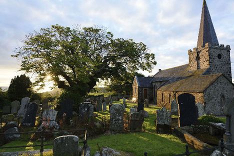 The Armada Tree, Northern Ireland. 
