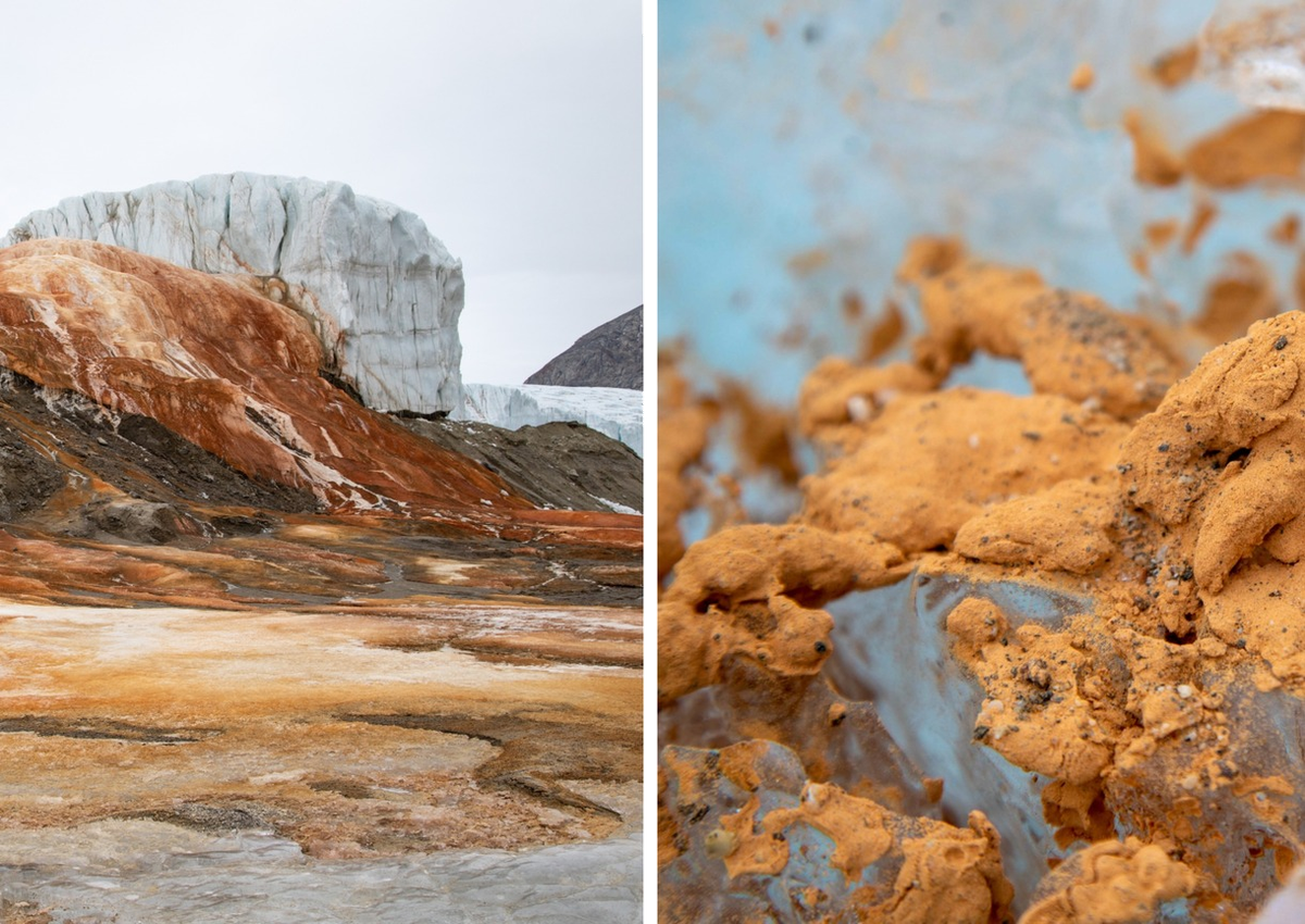 Waldman looked at samples of bacteria from Blood Falls, which owes its red color to iron oxide.