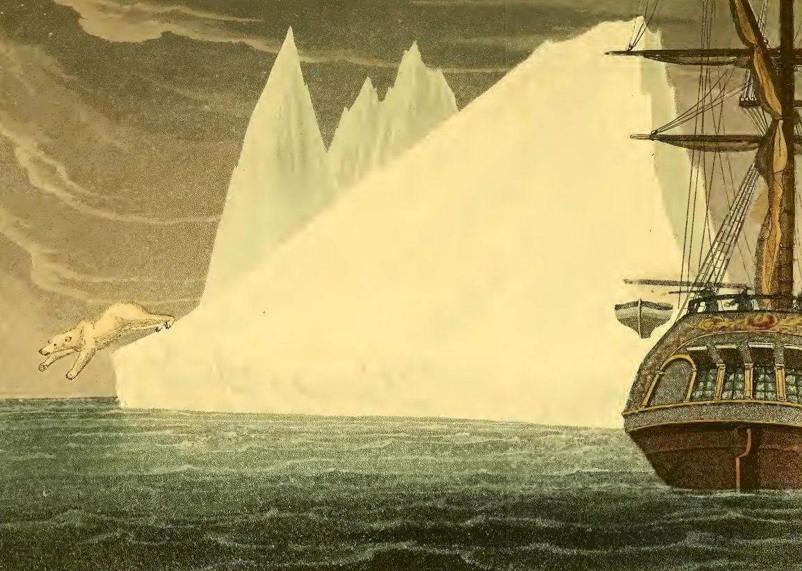 A polar bear jumps ship.