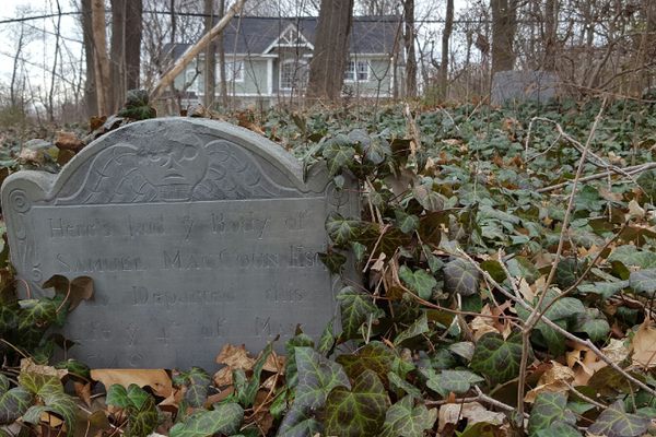 The Hidden Colonial Cemeteries of Oyster Bay
