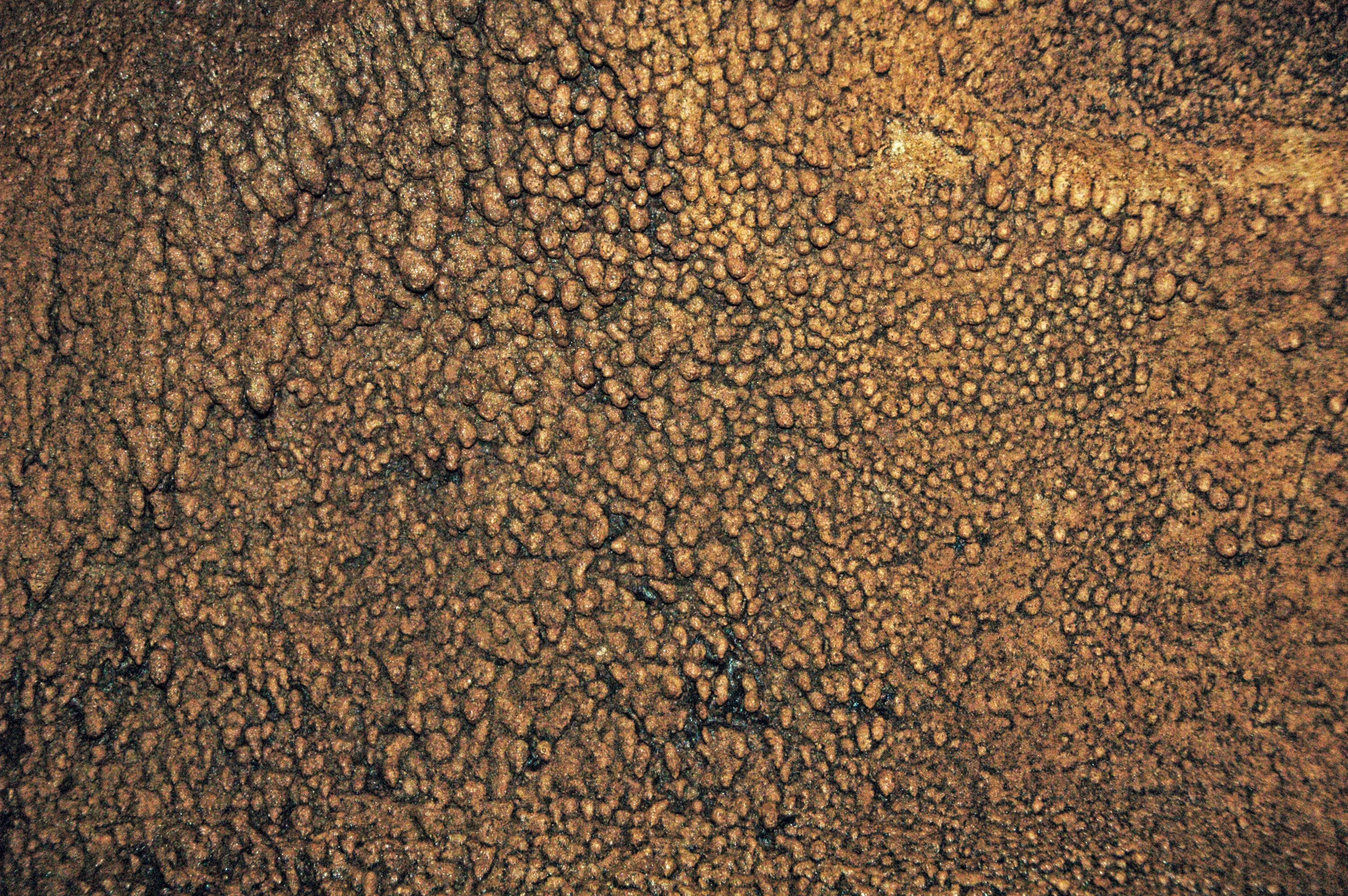 Cave popcorn can look like coral, or even pebbles, as seen above.