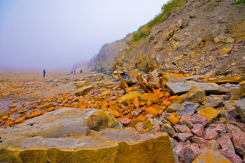 Joggins Fossil Cliffs – Joggins, Nova Scotia - Atlas Obscura