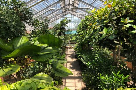 The Tropical House.