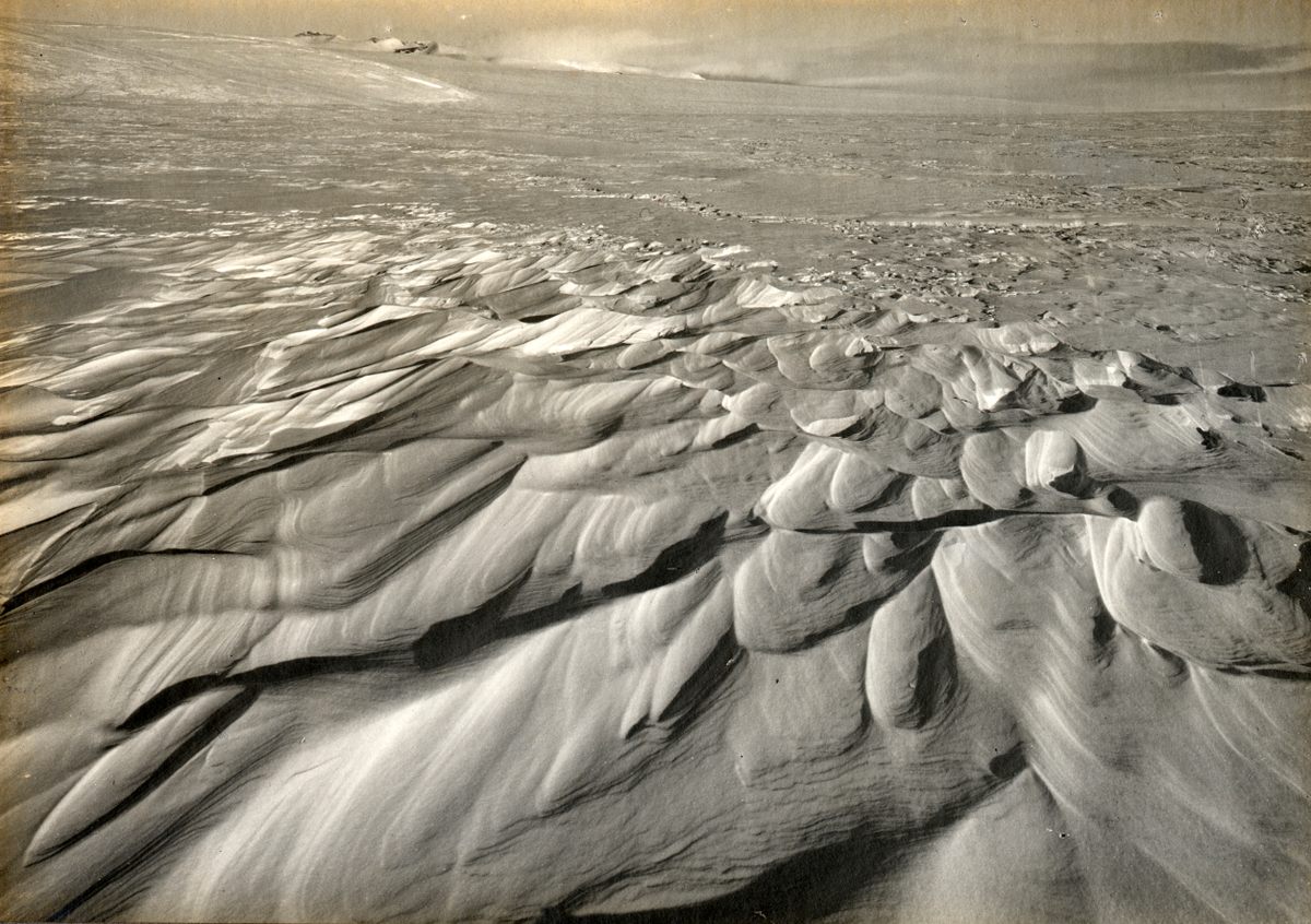 This photo, taken by early 20th-century Antarctic explorers shows sastrugi—tall wind-sculpted snow ridges—which make the voyage to the South Pole even more difficult.